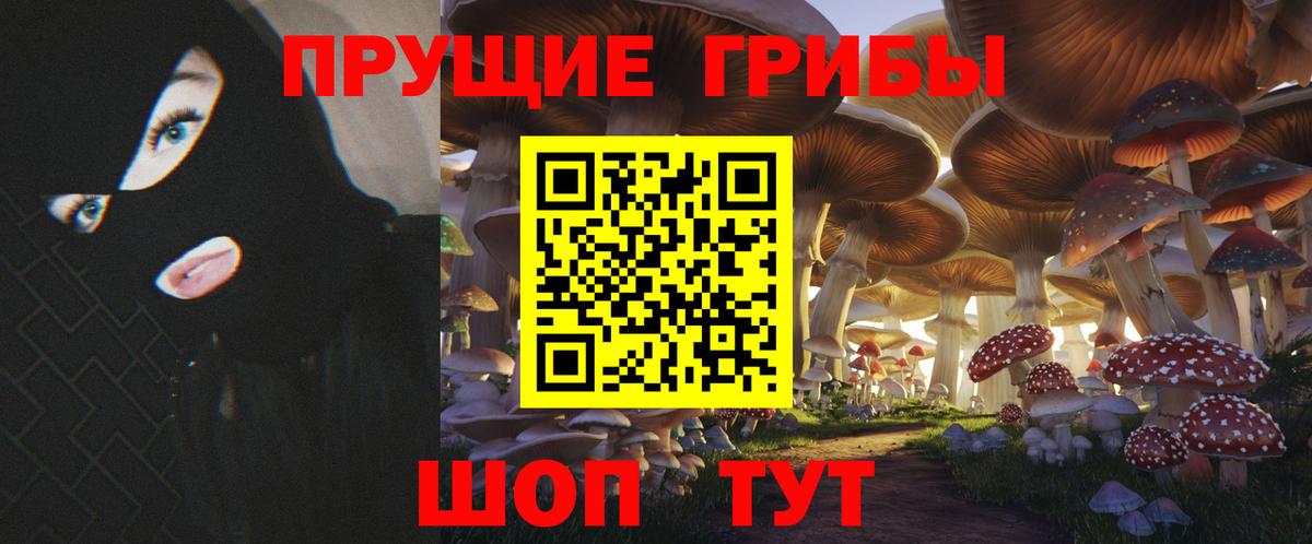 Галлюциногенные грибы Cubensis  Галлюциногенные грибы Psilocybine cubensis  Вход с VPN  Дедовск 